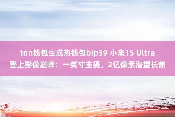 ton钱包生成热钱包bip39 小米15 Ultra登上影像巅峰：一英寸主摄，2亿像素潜望长焦