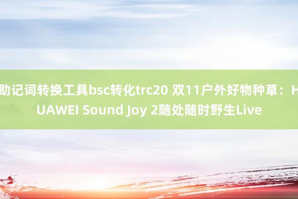 助记词转换工具bsc转化trc20 双11户外好物种草：HUAWEI Sound Joy 2随处随时野生Live