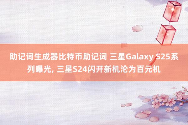 助记词生成器比特币助记词 三星Galaxy S25系列曝光, 三星S24闪开新机沦为百元机